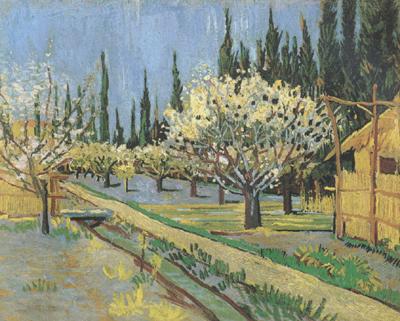 Vincent Van Gogh Orchard in Blossom,Bordered by Cypresses (nn04) China oil painting art
